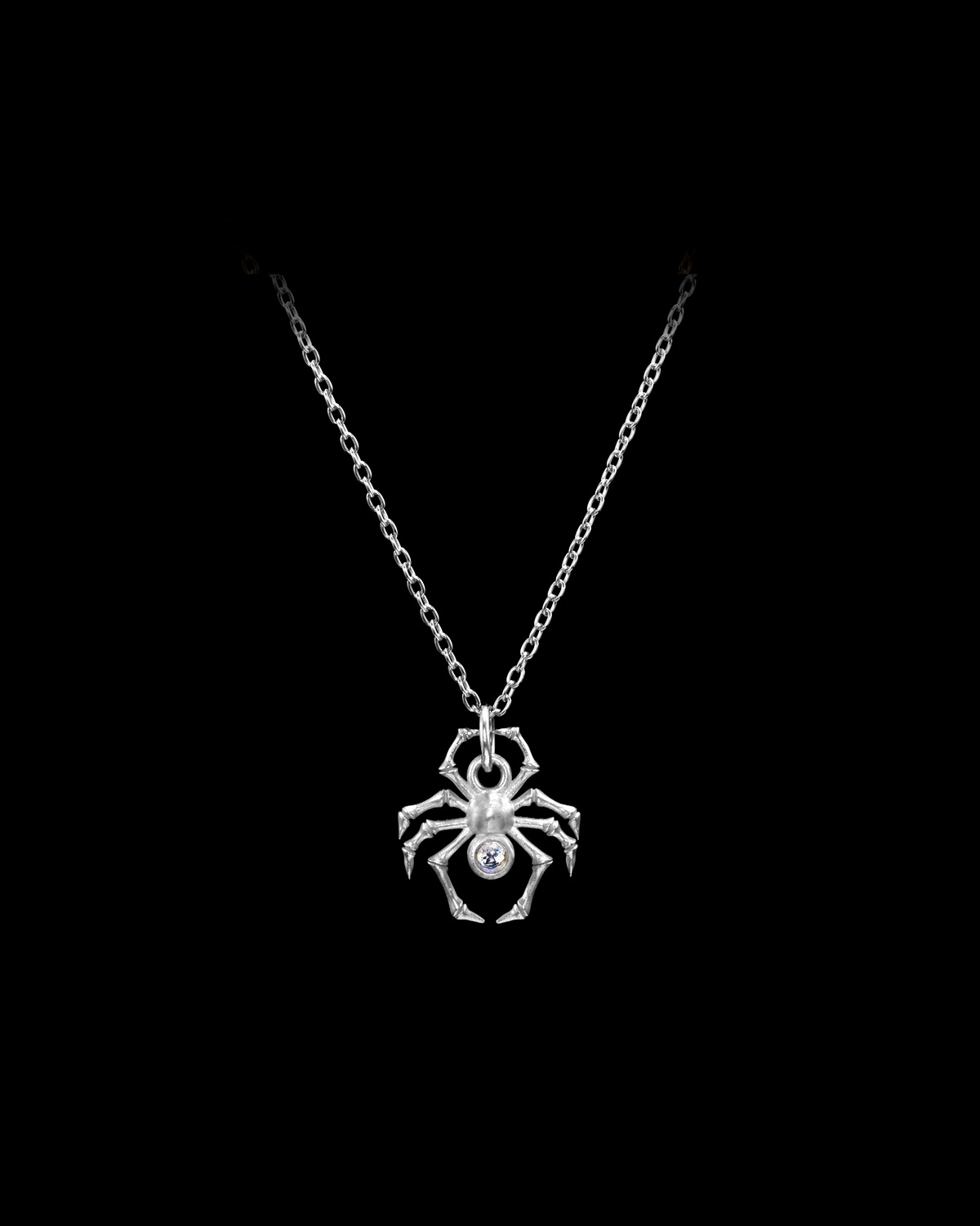 1549_78c948849d-spider-